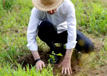 “რა მსახიობი დაკარგა საქართველომ” – შორენა მარსაგიშვილი