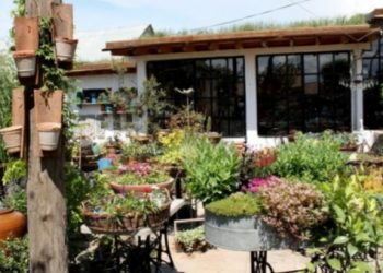 შრომის ინსპექციამ “გარდენია” დააჯარიმა