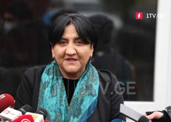 “დიახ, ჩავალ მოსკოვში, შევხვდები დეპუტატებს…  ნატო ოდესმე მიგვიღებს, არ გვიღებს…” – ირმა ინაშვილი