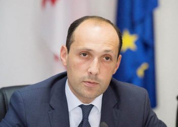 ახმეტაში, რამდენიმე მუნიციპალიტეტთან ერთად, ტყის მდგრადი მართვის საპილოტო პროგრამები განხორციელდება – ლევან დავითაშვილი