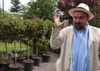 „გულწრფელად გამომდის ხოლმე მოყოლა და ახლაც ასე შევეცდები…“ – ზურაბ შევარდნაძე „გარდენიაში“ მომხდარ ინციდენტზე