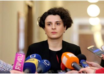 “გვსურს მორიგი დანაშაულების შესახებ მოგაწოდოთ ინფორმაცია” – რა 5 ფაქტი გაასაჯაროა მეზვრიშვილმა?