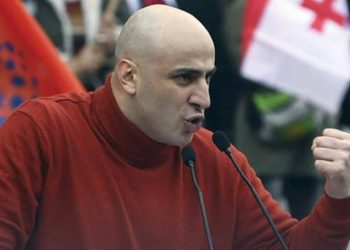 ,,ოცნებას” 40%-იან ზღვრამდე თეორიული შანსიც კი არ აქვს – ნიკა მელია