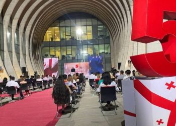 ენმ-ს მერობის კანდიდატები – სია