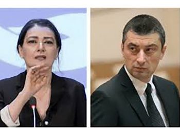 “თვალების დათხრაზე არაფერი მკითხოთო, ივანიშვილზე არაფერი მკითხოთო, სააკაშვილის ლანძღვის გამო ამირჩიეთო!” – ჩარკვიანი