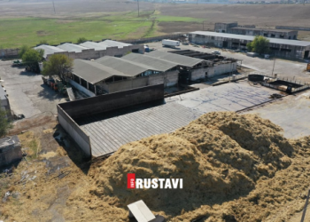 რუსთავში სოკოს საწარმოს საქმიანობის უფლება შეუჩერეს – დეტალები