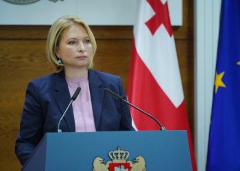 თევზჭერის ინდუსტრიის მხარდასაჭერად დავიწყეთ პროგრამა, რომლის ფარგლებშიც 14 ახალი თევზსაჭერი გემის შეძენა და მოძველებულის ჩანაცვლება ხდება – ნათია თურნავა