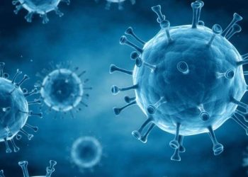 ანტისხეული, რომელიც რამდენიმე შტამის წინააღმდეგაა ეფექტური – დეტალები