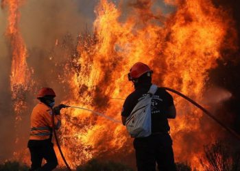 საბერძნეთში ხანძარს ისევ ებრძვიან