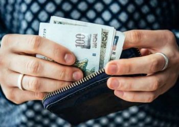 ხელფასები შესაძლოა თვეში ორჯერ გაიცეს – საკანონმდებლო ინიციატივა