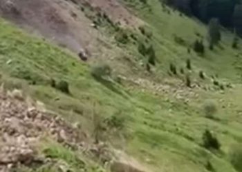 გოდერძის უღელტეხილზე ავარიას საუდის არაბეთის მოქალაქე ემსხვერპლა? – მანქანაში 8 წლის ბავშვიც იჯდა