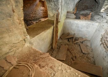 საოკუპაციო ხაზთან ანტონ ფურცელაძის მამაპაპისეული სახლის აღდგენა იწყება