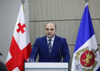 “არ არის საქმეში საკმარისი მტკიცებულებები, რომ სახალხო დამცველის მიერ დასახელებულ პირებს ბრალდება წაუყენონ” – შს მინისტრის მოადგილე