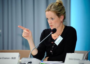 ევროკავშირს არ აქვს არც რესურსი და არც სურვილი იშუამავლოს პოლიტიკურ კრიზისში, რომელიც სააკაშვილის დაბრუნებისას შეიქმნება – ვიოლა ფონ კრამონი