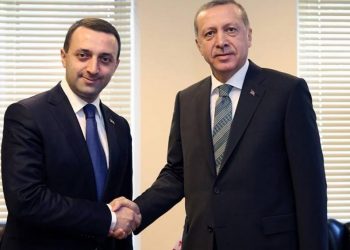 „ხელისუფლება თადარიგს იჭერს და ერდოღანს სთხოვს, რომ სააკაშვილს თურქეთში ჩასვლის ნება არ მისცეს… “