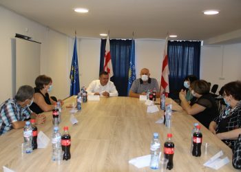 დავით შერაზადიშვილი არასამთავრობო ორგანიზაციის წარმომადგენლებს შეხვდა