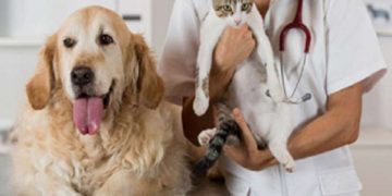 დღეს ცხოველთა მონიტორინგის სააგენტო შინაურ ცხოველებს ცოფზე უფასოდ აცრის