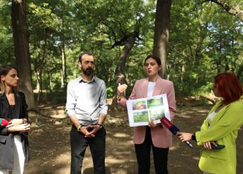 სანამ ქვეყანა და ქალაქი ჩართულია პოლიტიკურ დაპირისპირებაში, ქალაქი კარგავს დიღმის ტყე-პარკს – ანა ბიბილაშვილი