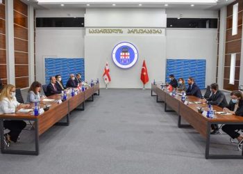 საქართველოს გენერალური პროკურორი ირაკლი შოთაძე თურქეთის რესპუბლიკის იუსტიციის მინისტრს აბდულჰამიტ გიულს შეხვდა