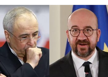 “სრული სისულელეა და შარლ მიშელისგან ეს წინადადება ვერ წამოვიდოდა…” – რა სისულელეს მოაწერეს ხელი დეპუტატებმა? – ზილფიმიანი