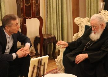 ბიძინა ივანიშვილს სურდა, რომ ილია მეორეს მამობაზე დნმ-ის ანალიზი ჩაებარებინა?