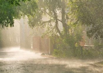 29 სექტემბრის ამინდის პროგნოზი ქალაქების მიხედვით