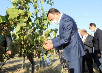 პრემიერ-მინისტრმა სოფელ ჯიღაურაში მრავალწლოვანი კულტურების საცდელ-სადემონსტრაციო ბაზა დათვალიერა