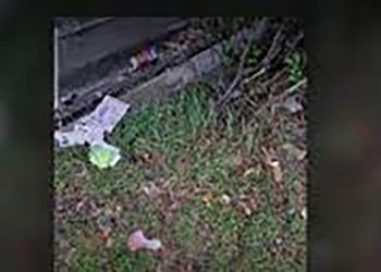 “ბალახზე 30-მდე პირადობა ეყარა…” – რატომ ეყარა გორში პირადობის მოწმობები ქუჩაში?