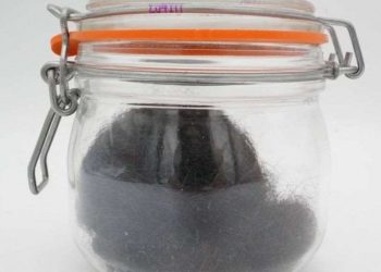 აშშ-ში აუქციონზე ელვის პრესლის თმა გაიყიდა