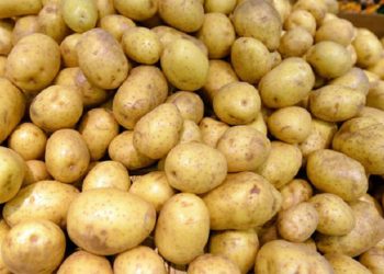 49 220 კგ კარტოფილში ჯანმრთელობისთვის საშიში მავნე ორგანიზმები გამოვლინდა – შემოსავლების სამსახური