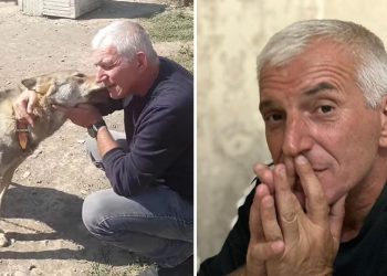 (ვიდეო) – “თქვე დედა მო@@ნულებო როგორც მე კოვიდი გავზარდე თქვენი შვილები არ გაგიზრდიათ მასე, წაიყვანენ ზოოპარკში და უცხო გვარის მგლები ერთ ღამეში შეჭამენ თქვე ბო@ისშვილებო ” – მგლის პატრონი