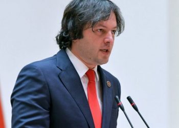 “მათი ინიციატივით სიძულვილმა გაიმარჯვა” – კობახიძემ NGO-ებს ახალი ბრალდება წაუყენა