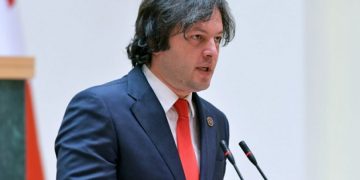 “მათი ინიციატივით სიძულვილმა გაიმარჯვა” – კობახიძემ NGO-ებს ახალი ბრალდება წაუყენა