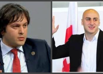 “პროვოკატორი, ხულიგანი, უინტელექტო, ნაძირალაა” – კობახიძე მელიაზე