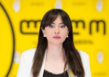 “სავარაუდოდ, ღარიბაშვილს გზებთან დაკავშირებით ინფორმაციას უმალავენ” – ლანა გალდავა