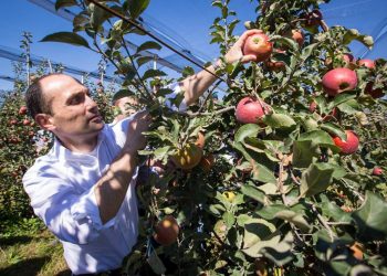 „მინისტრ დავითაშვილს შარშან ამ სიტყვების უკან წაღება მოუხდა და წელსაც იგივე მოხდება!“