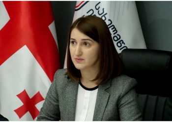 “მოვუწოდებთ საგამოძიებო ორგანოს” – სახელმწიფო ინსპექტორი საგანგებო განცხადებას ავრცელებს