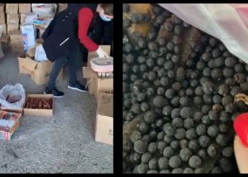 (ვიდეო) – “მატლები რომ მოშორებოდა, დაძველებულ პროდუქტს „დიხლოფოსს“ ასხამდა“ – მადონა კოიძე