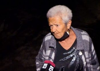 “ოცნების” წევრი იყო… წარსულში ნასამართლევია – ბრუკის მკვლელობაში ბრალდებულის მამიდა