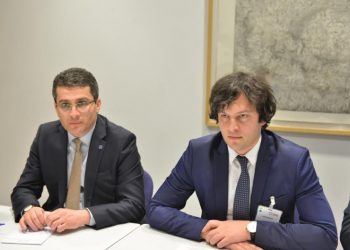 “სადამდე მიიყვანა ეს გაწონასწორებული ადამიანი, რომ დედის გინება გამოსტყუა” – მდინარაძე