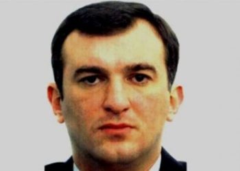 გაერო-მ მეგის ქარდავა საერთაშორისო პროტექციის ქვეშ აიყვანა და უკრაინას მისი ქართული მხარისთვის გადაცემა აეკრძალა – ადვოკატი