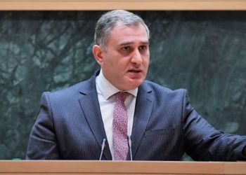 ნიკა მელიას ქცევა იყო ამაზრზენი – მიხეილ სარჯველაძე