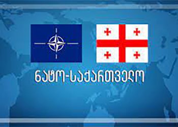 ოპოზიციურმა პარტიებმა ევროკავშირისა და NATO-ს წარმომადგენლობებს ღია წერილით მიმართეს