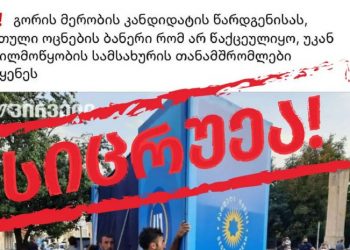 „ტვ პირველი“ ამტკიცებდა, რომ ფოტოზე აღბეჭდილი ადამიანები საჯარო მოხელეები არიან, სინამდვილეში ისინი შპს „ლუმას“ წარმოადგენენ – ფეიბსუკგვერდი „სინამდვილეში“