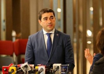 სააკაშვილის შეწყალების არანაირი მოლოდინი არ არსებობს – შალვა პაპუაშვილი