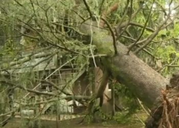 სტიქია ხობში – ძლიერმა ქარმა და წვიმამ მოსახლეობა დააზარალა