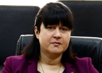 “დადგა მომენტი, აქტიურად გავიდეთ გარეთ, ვფიქრობ, მომდევნო კვირიდან მეტი გამსვლელი ბრიგადა იმუშავებს” – გაბუნია