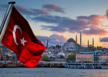 საელჩო თურქეთში მყოფი საქართველოს მოქალაქეებისთვის ინფორმაციას ავრცელებს