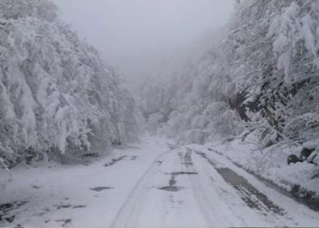 შესაძლოა, მოთოვოს – ამინდის პროგნოზი