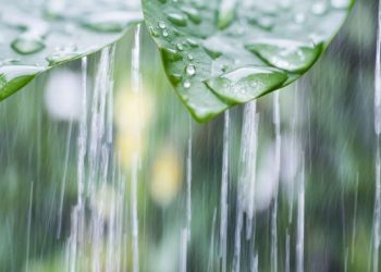 როგორი ამინდია მოსალოდნელი უახლოეს დღეებში